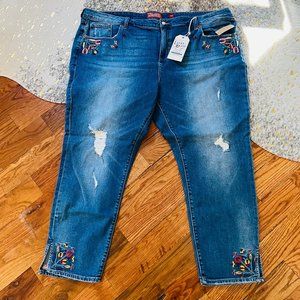 Lucky Brand Ginger Skinny Embroidered Jeans- NWT Plus Size